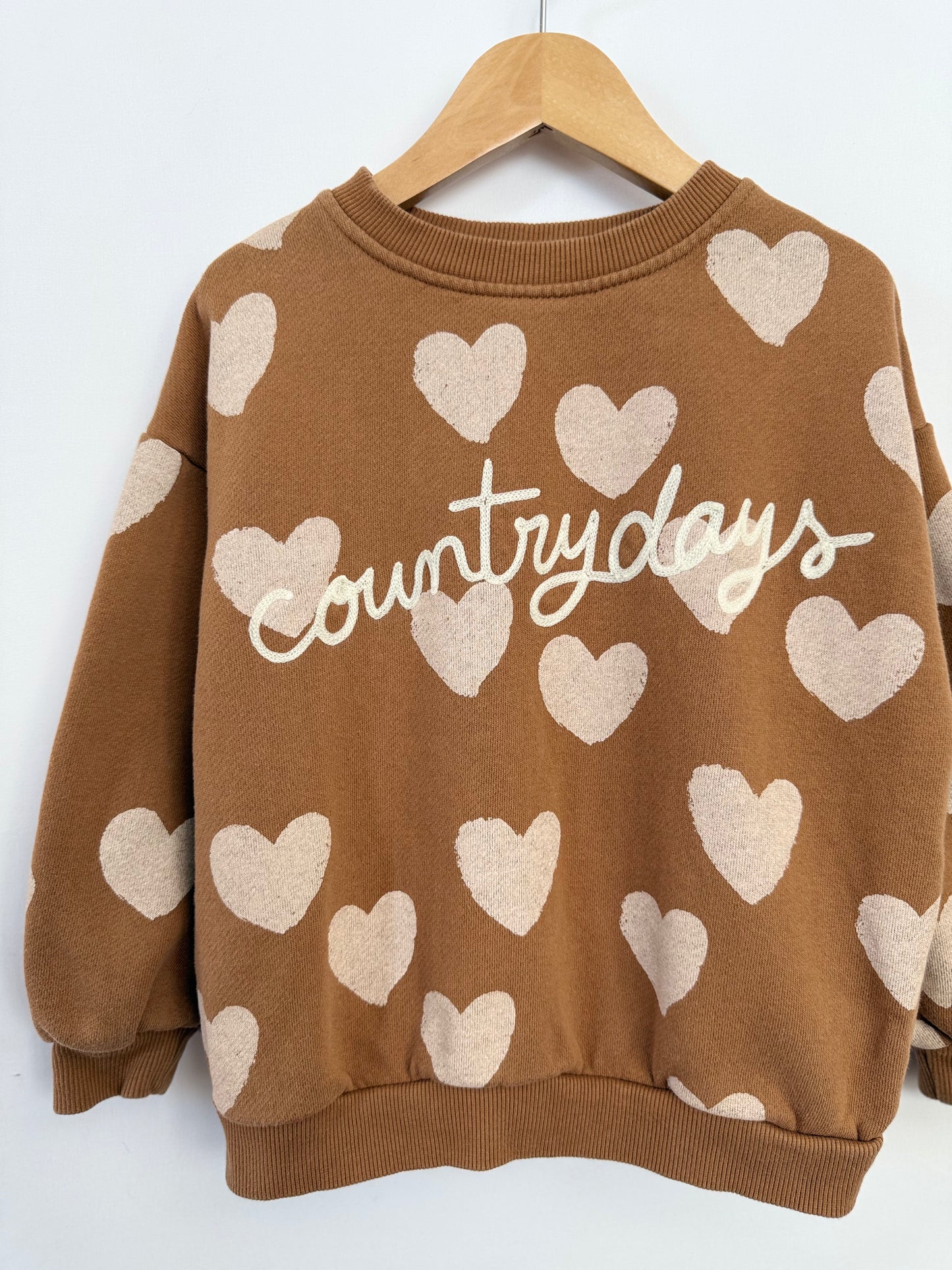 Zara Sweatshirt 5y