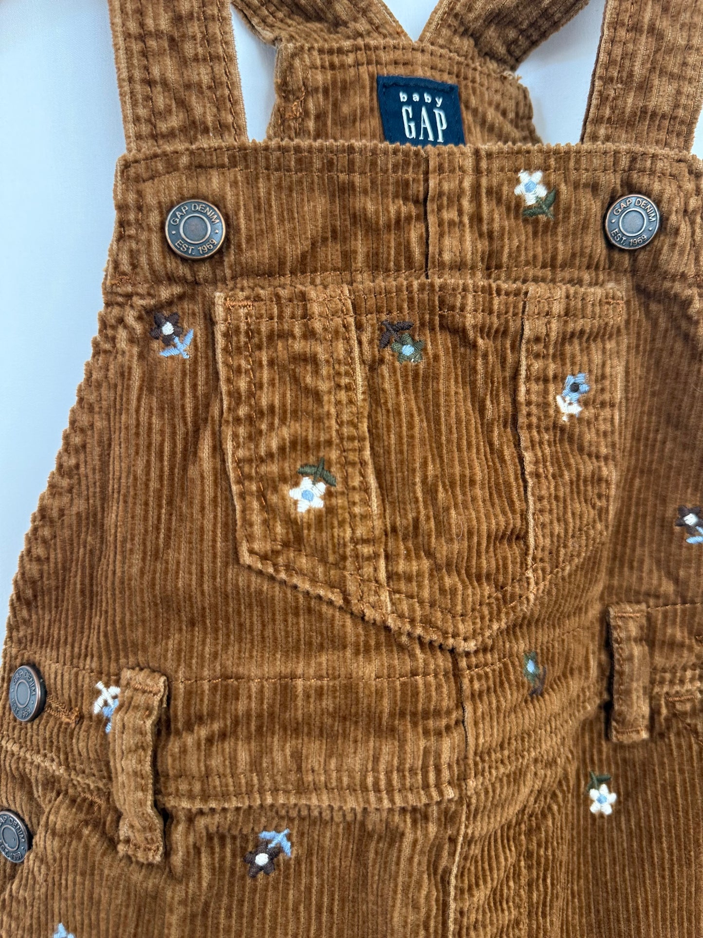 Baby Gap Dress