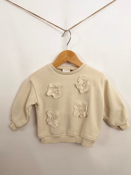 Zara Sweatshirt