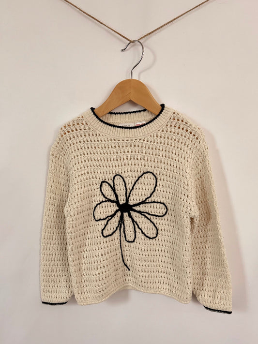 Zara Sweater