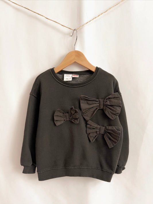 Zara sweatshirt