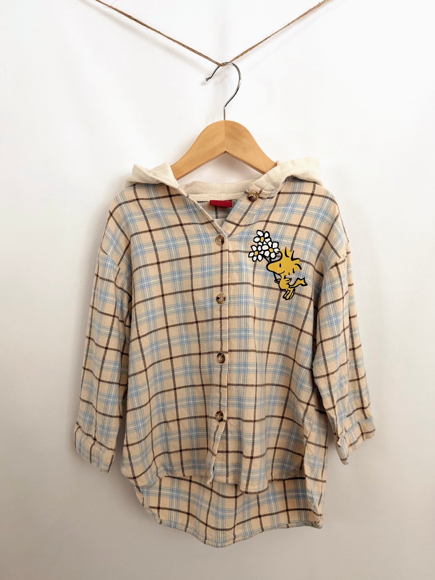 Zara Shirt