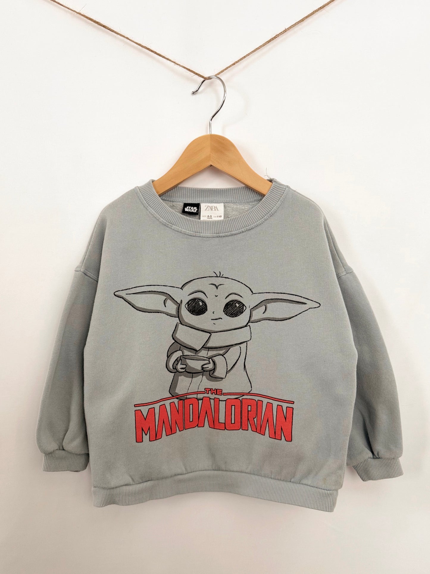 Zara Sweatshirt