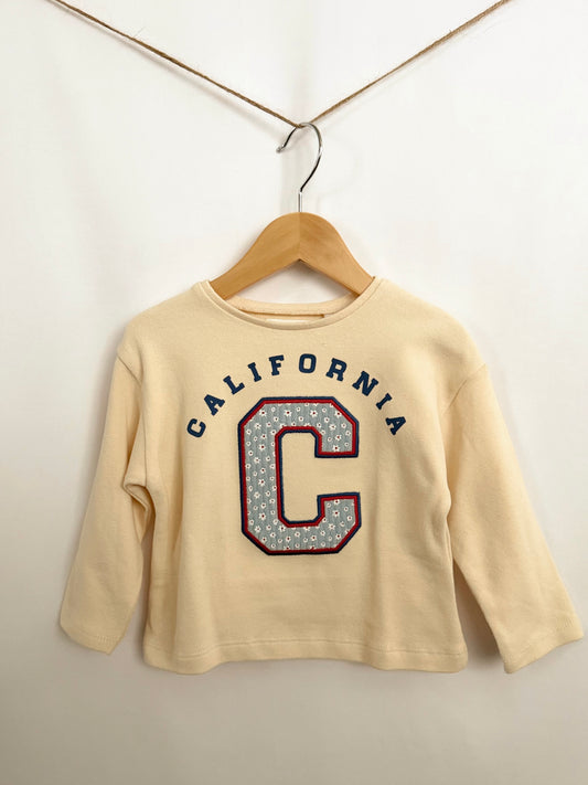 Zara Sweater