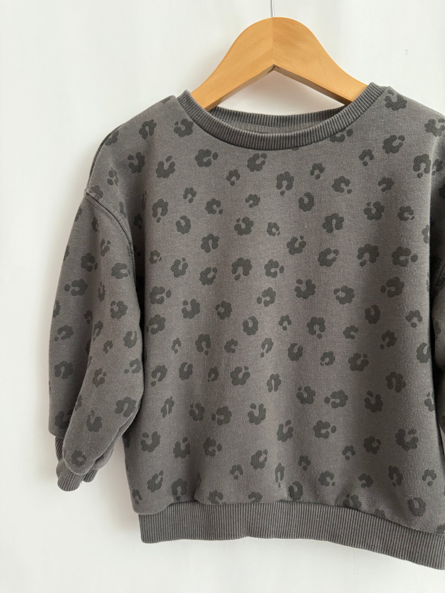 Zara Sweatshirt