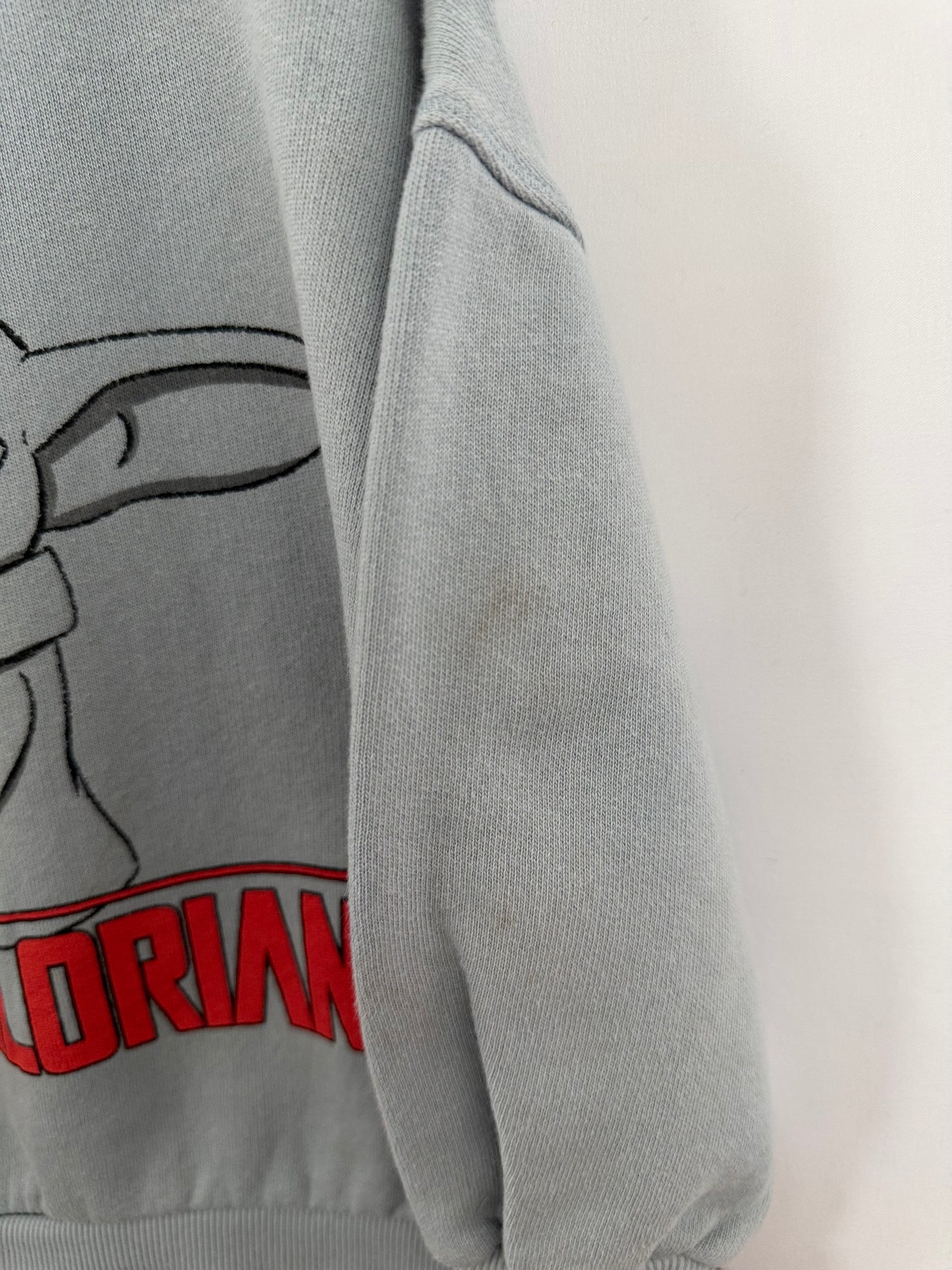 Zara Sweatshirt