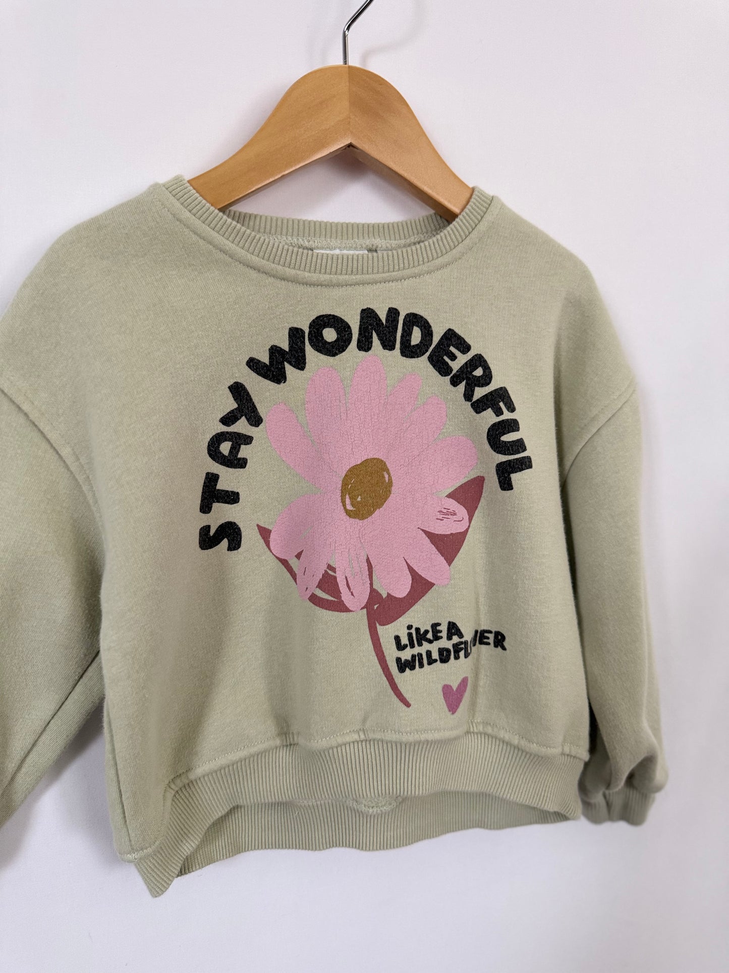 Zara Sweatshirt