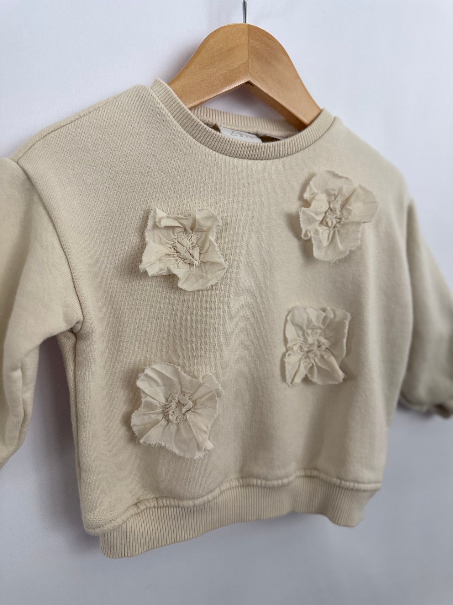 Zara Sweatshirt