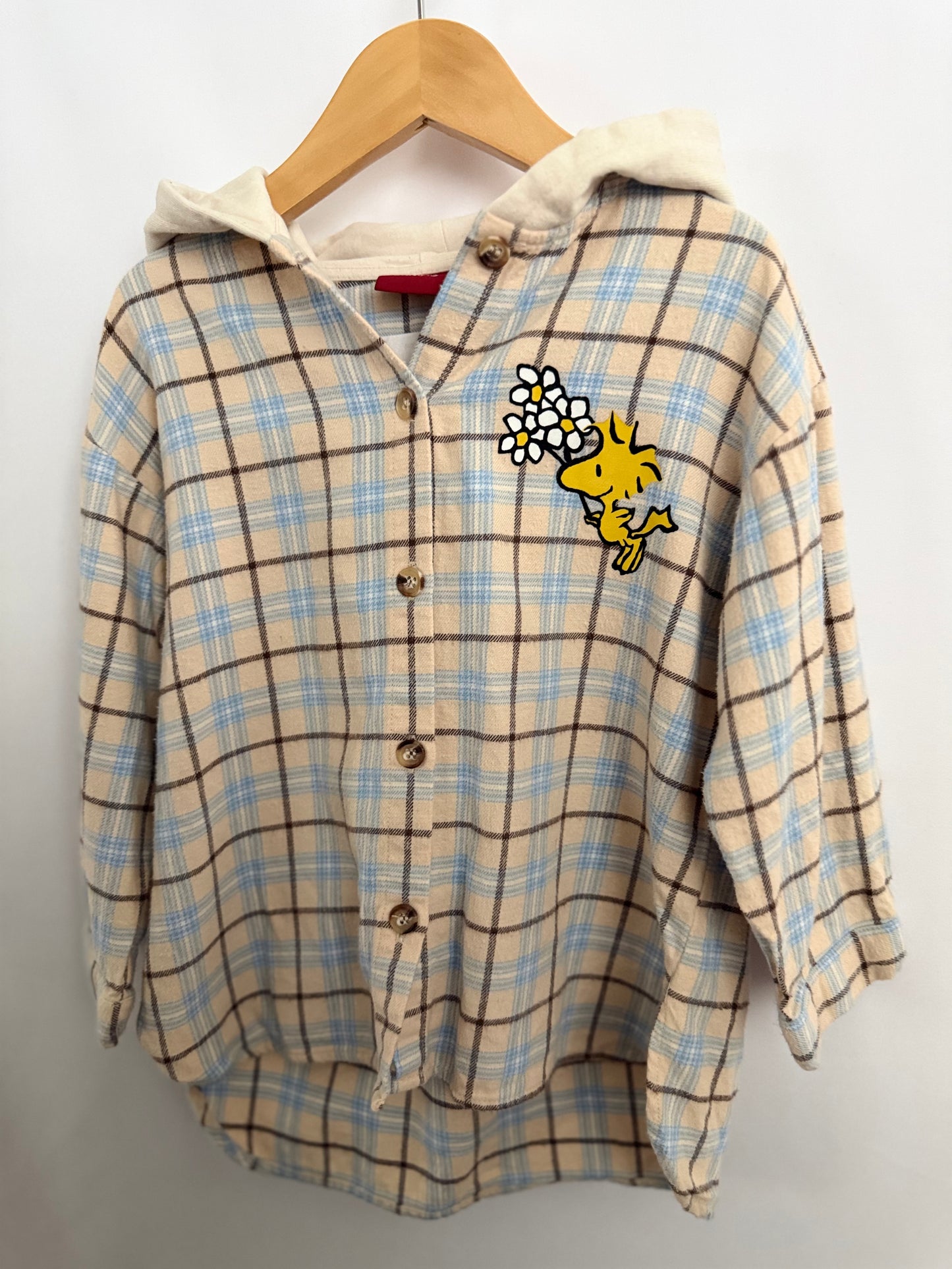 Zara Shirt