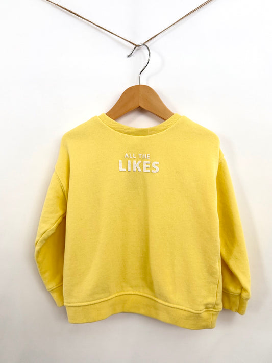 Zara Sweatshirt