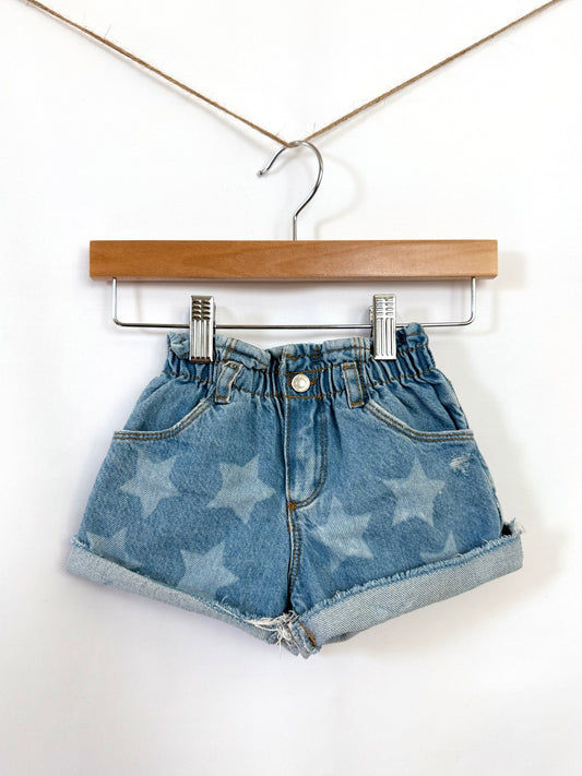 Zara Shorts
