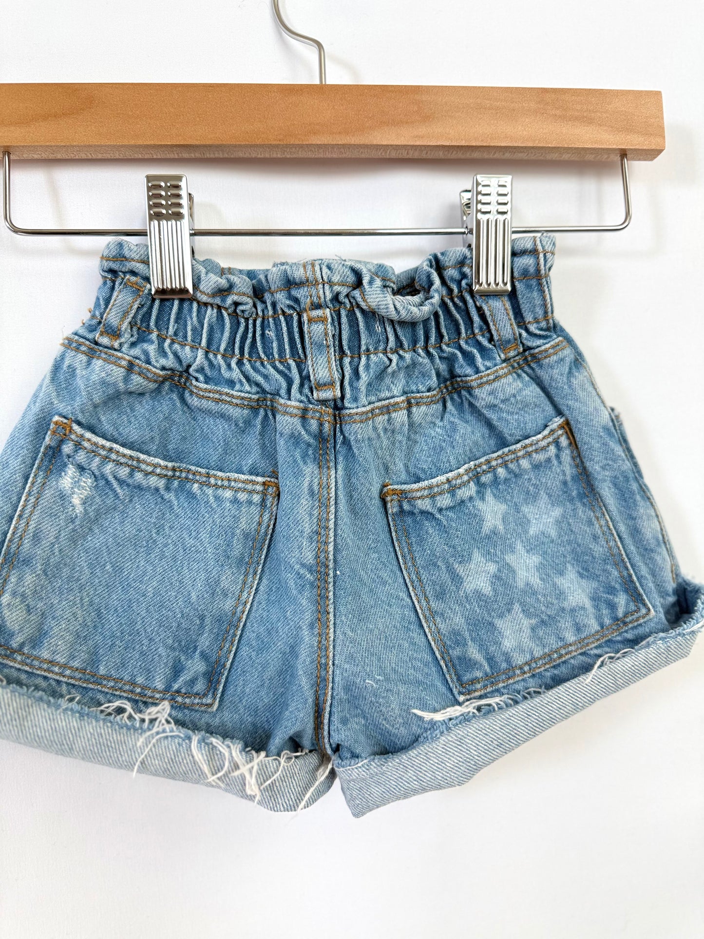 Zara Shorts