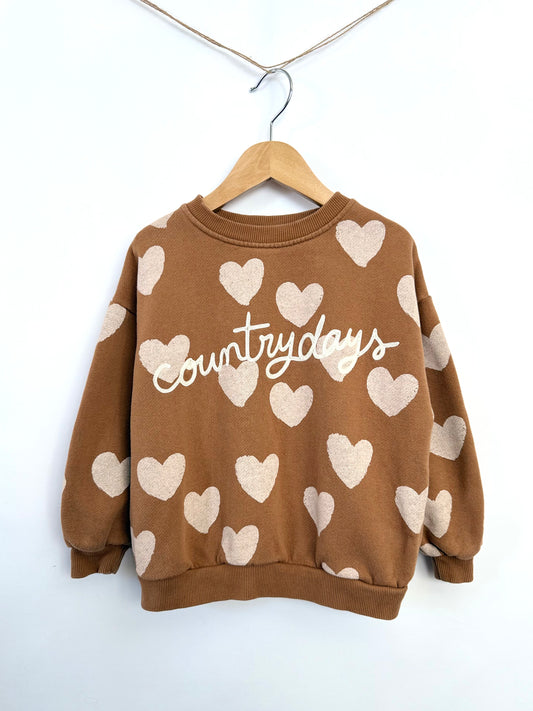 Zara Sweatshirt 5y