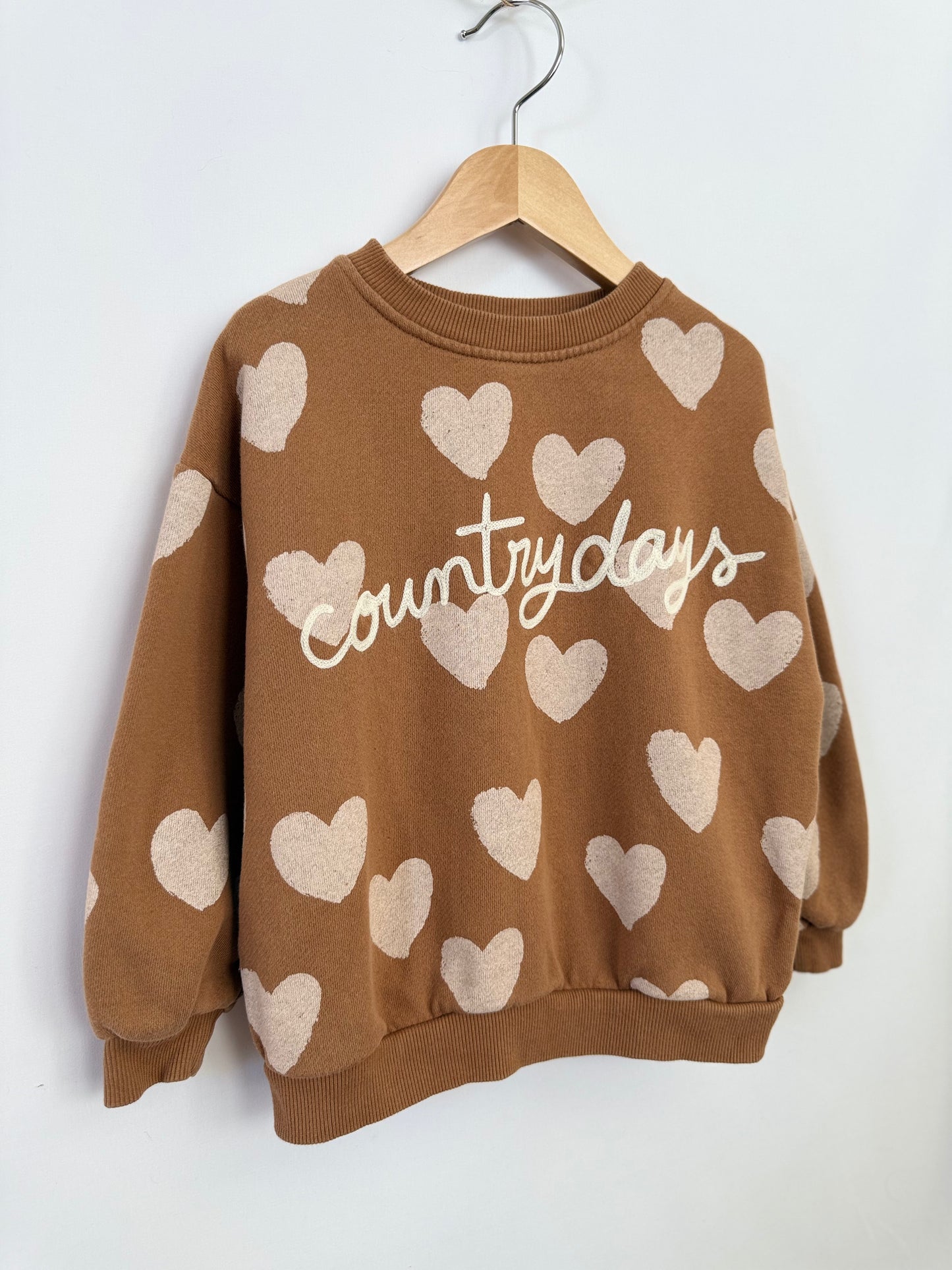 Zara Sweatshirt 5y
