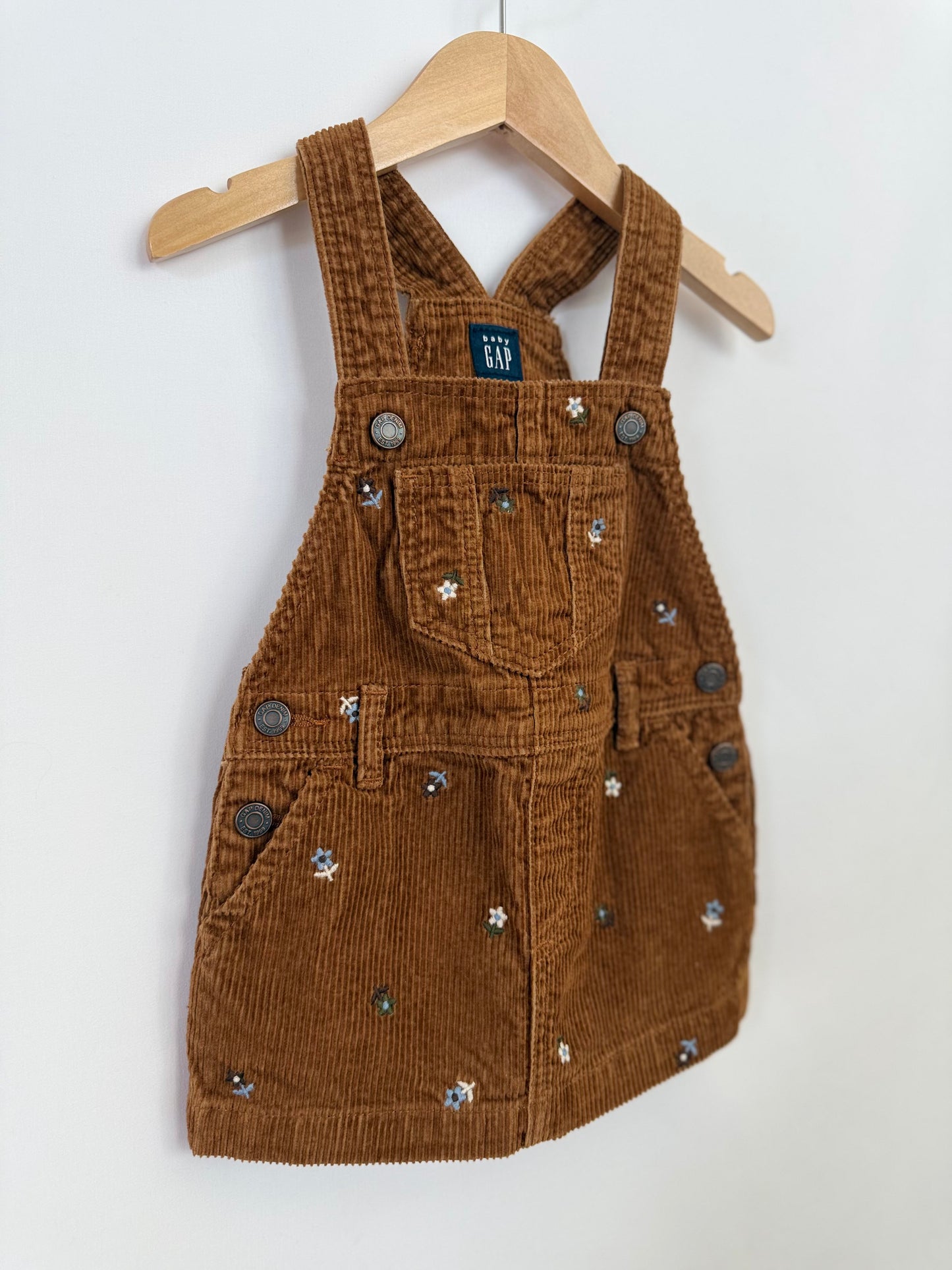 Baby Gap Dress