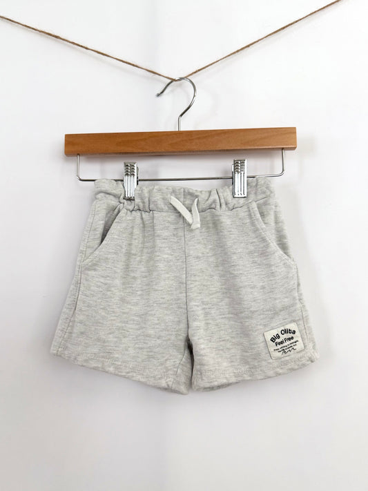 Zara Shorts